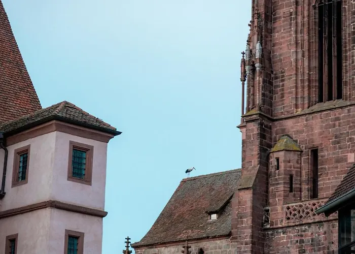 NEW - Le Joyau Alsacien - Centre historique