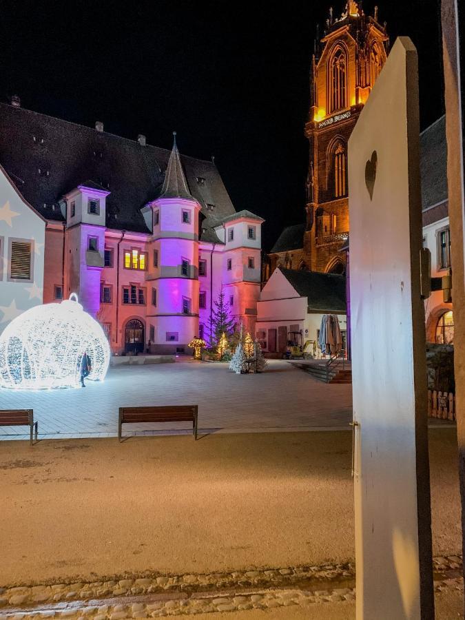 Appartement New - Le Joyau Alsacien - Centre Historique